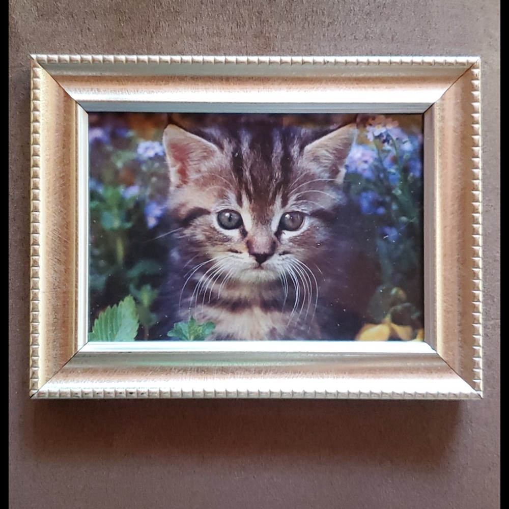 3.5x5 Photo Frame - Picture 8 of 9